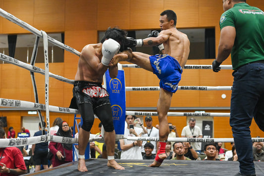 MFN 2026 Muaythai Registration (Professional)
